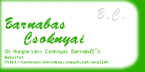 barnabas csoknyai business card